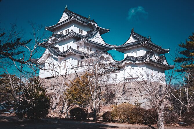 Secrets of Ninjas X Samurais: Private History Tour to Iga & Koka - Getting There Comfortably, Then Letting the Day Unfold