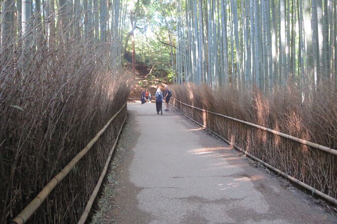 Shore excursion: Full Day Private Kyoto Tour From Osaka/Kobe Port - Price and logistics: what the $490 covers and the car fee reality