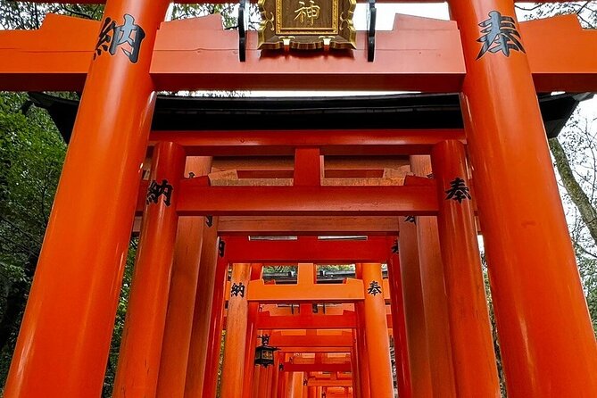 Single- & multi-day Adventures within Kyoto Nara Osaka Kobe - Key points before you go