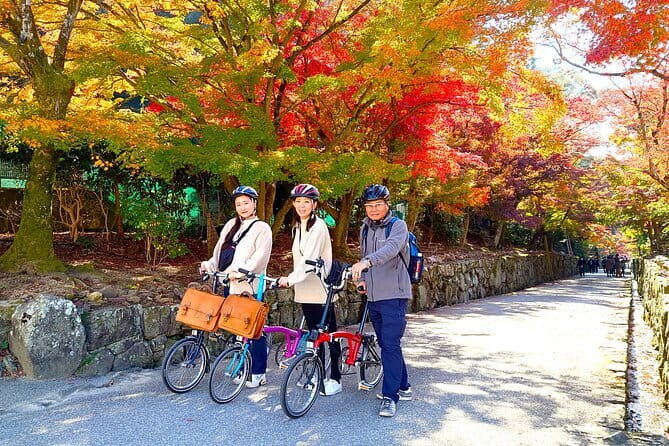 Slow Cycling Tour at Uji's Matcha Green Tea Fields and Heritage - Key things to know before you pedal Uji