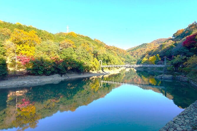 Slow Cycling Tour at Uji's Matcha Green Tea Fields and Heritage - Chazuna, tea culture, and Uji’s why-this-matters start