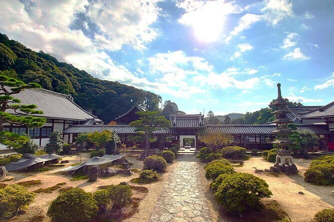 Slow Cycling Tour at Uji's Matcha Green Tea Fields and Heritage - Byodo-in Omotesando: your optional Phoenix Hall moment plus tea shop time