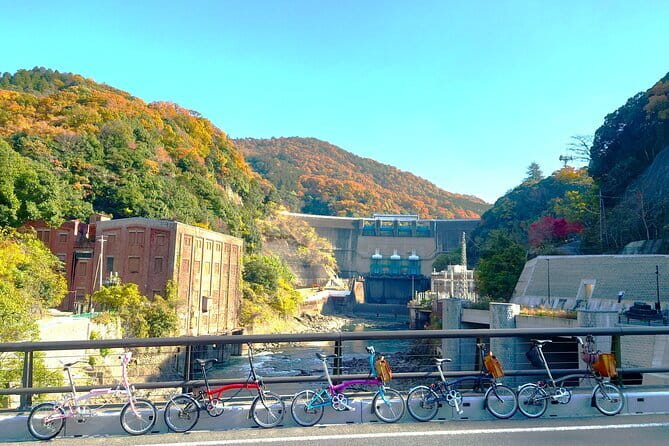 Slow Cycling Tour at Uji's Matcha Green Tea Fields and Heritage - How slow cycling works, and what you still control
