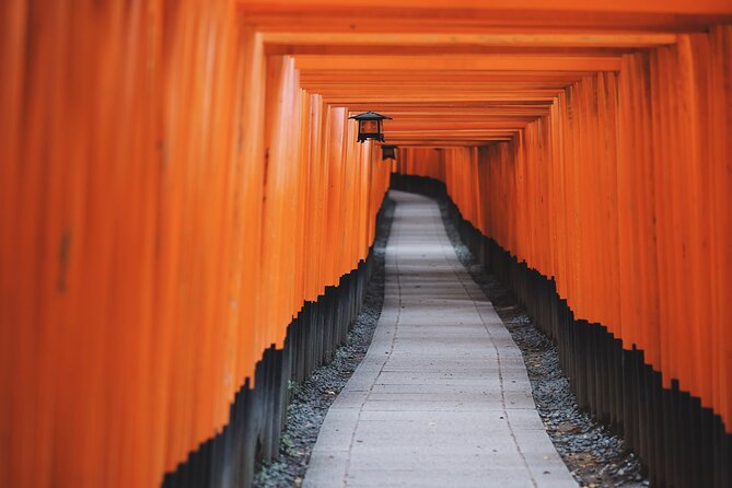 Tailored Full Day Private Experience of Kyoto for 1 Day Visitors - Price and logistics: where the money really goes