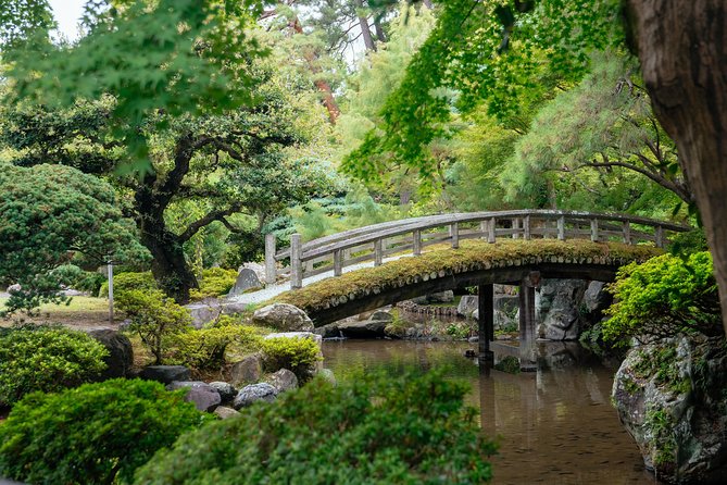 The Beauty of Kyoto by Bike: Private Tour - Should you book this Kyoto bike tour?