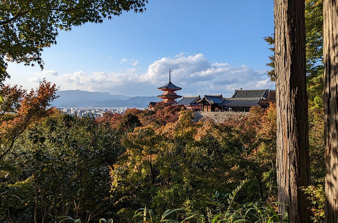 Tour in Kyoto with a Goverment Certified Tour Guide - Gion and Nishiki Market, your Kyoto reset and your food moment