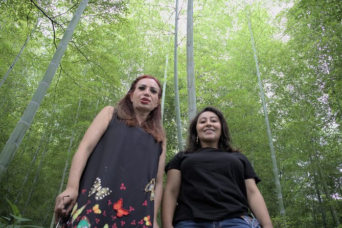 Tour in Kyoto with a Goverment Certified Tour Guide - Arashiyama bamboo and Tenryu-ji, the calm brake pedal