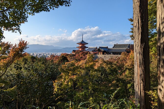 Tour in Kyoto with a Goverment Certified Tour Guide - Nijo Castle, a history stop with a separate ticket cost