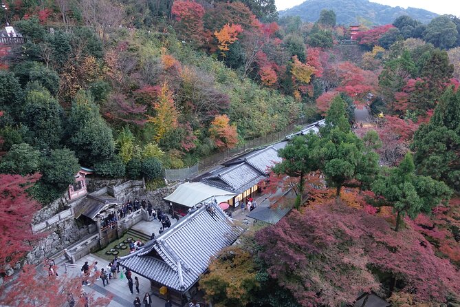 TREASURES of Kyoto: Fushimi Inari, Kiyomizu Temple, and more! - Why the taxi between stops is real value
