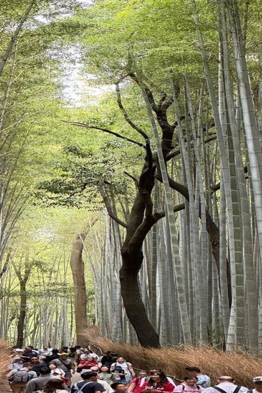 Treasures of Kyoto: Gion & historical Walking Tour - Why the guide’s advice is the real value