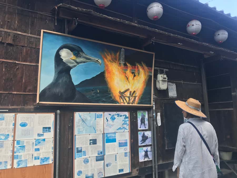 Uji: Green Tea Tour with Byodoin and Koshoji Temple Visits - The gyokuro tasting lesson that actually changes how you taste