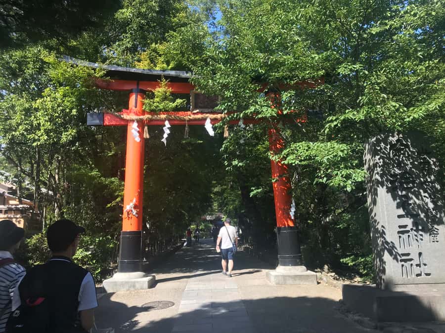 Uji: Green Tea Tour with Byodoin and Koshoji Temple Visits - The ponzu tea-leaf twist (and why it’s memorable)