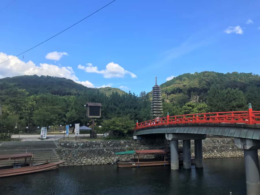 Uji: Green Tea Tour with Byodoin and Koshoji Temple Visits - Byodo-in Temple and the Phoenix Hall story
