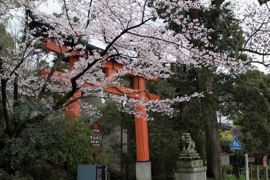 Uji: UNESCO Heritage & Tea Ceremony Walking Tour - Entering Uji from JR Uji Station with a simple game plan