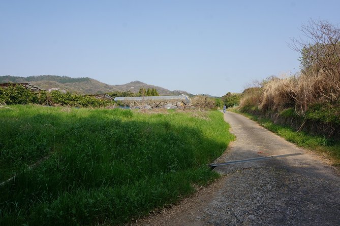Village to village walk: Japan's oldest road, Yamanobe ancient trail (Private) - A few smart expectations before you go