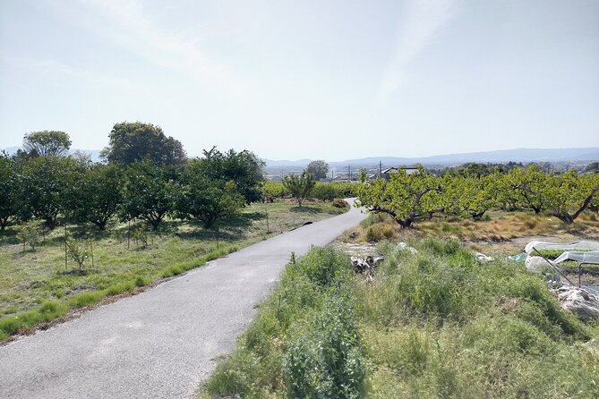 Village to village walk: Japan's oldest road, Yamanobe ancient trail (Private) - How the guide turns a route into an actual cultural exchange