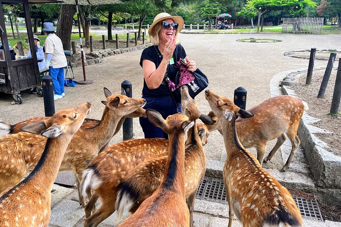 World Heritage Kyoto & Nara Uji Authentic Matcha Experience - Key Takeaways