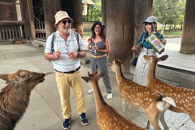 World Heritage Kyoto & Nara Uji Authentic Matcha Experience - Nara Park and 1,400 deer: fun, cute, and slightly bossy