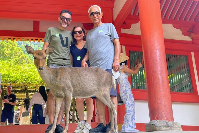 World Heritage Kyoto & Nara Uji Authentic Matcha Experience - Nandaimon: the quick South Gate hit