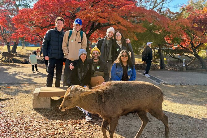 World Heritage Kyoto & Nara Uji Authentic Matcha Experience - Riding the route: getting from Kyoto to Nara without the headache